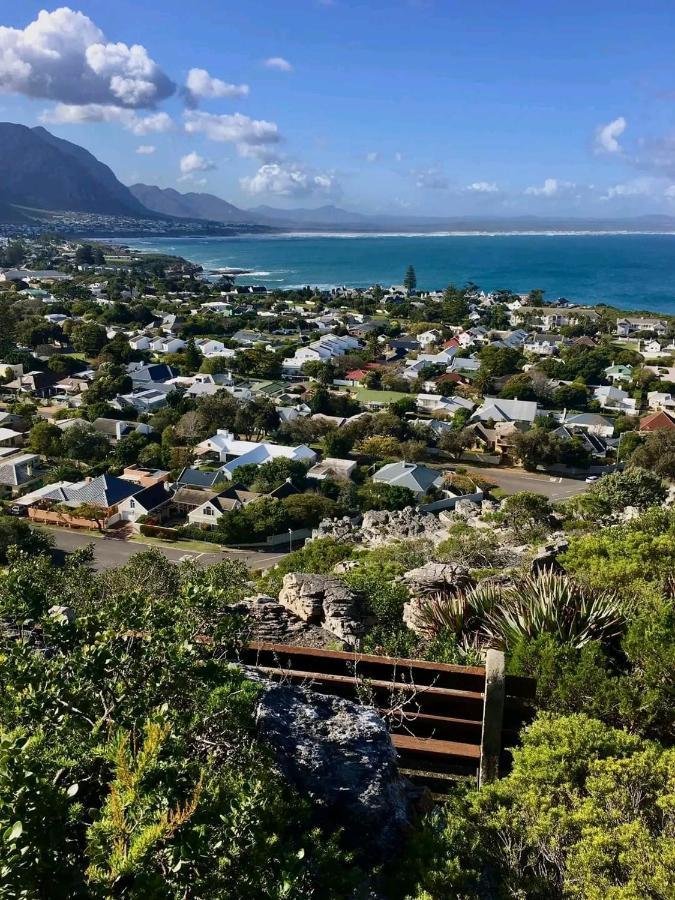 Villa Ocean And Mountain Breeze Hermanus Esterno foto